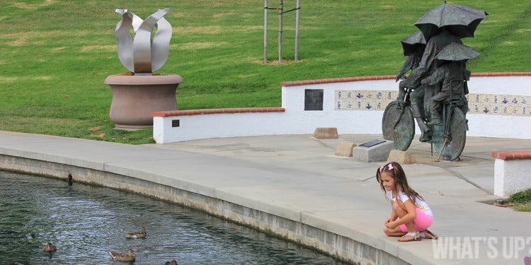 Temecula duck pond