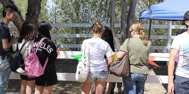 Visitors to The Alpaca Hacienda Open Ranch Day