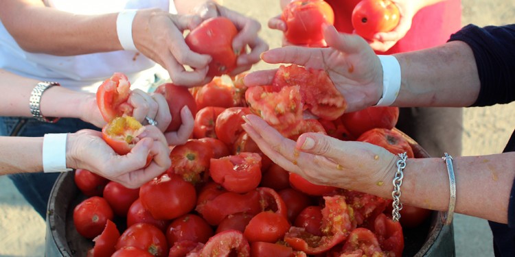 La Tomatina 2014 at Europa Village Winery