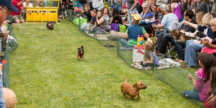 Spend a Day at the Races with Wiener Fest 2015