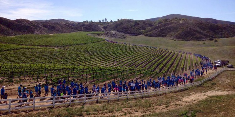Walk in the Vines Benefits Our Nicholas Foundation