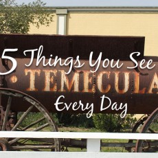 15 Things You See in Temecula Every Day