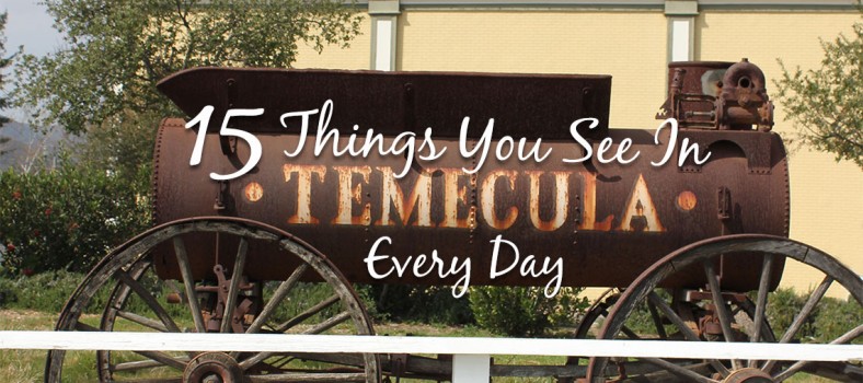 15 Things You See in Temecula Every Day